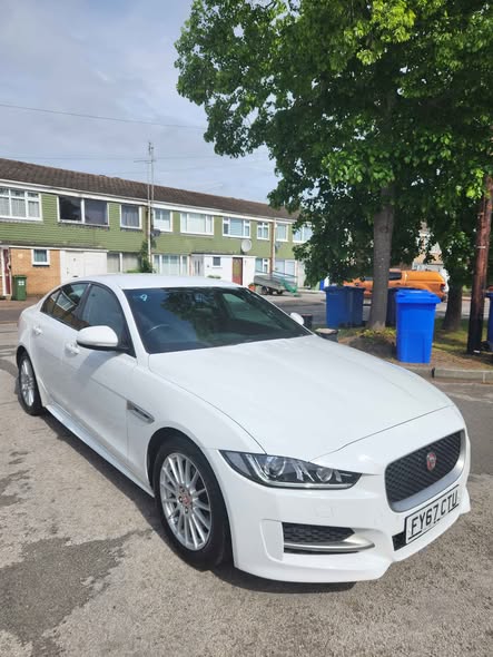 jaguar