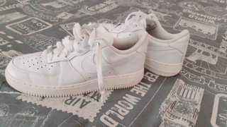 Palestar C.