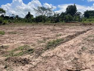 A picture of NAMAYUMBA TITLED PLOTS FOR SELL