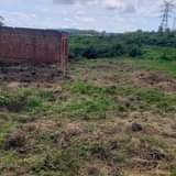houses kitende