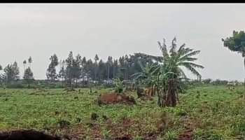 A picture of GAYAZA ROAD ACRES FOR SALE ZIROBWE KIKYUSA EACH 12MILLIONS TITLED