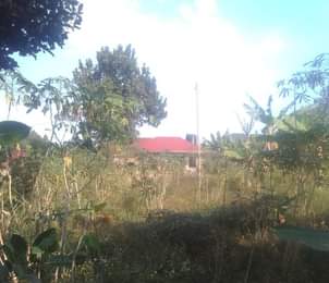 A picture of Plot for sale at only 19m