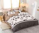 A picture of Duvet