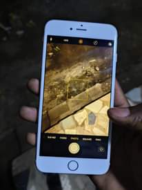 A picture of iPhone 6s Plus