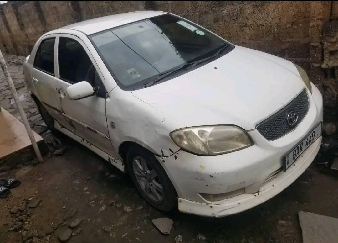 cars