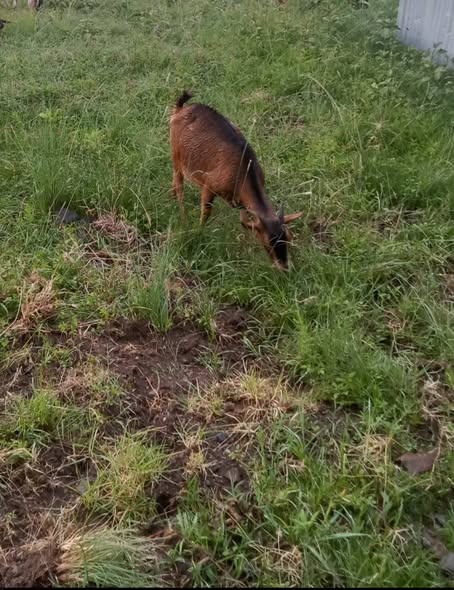plots nanyuki