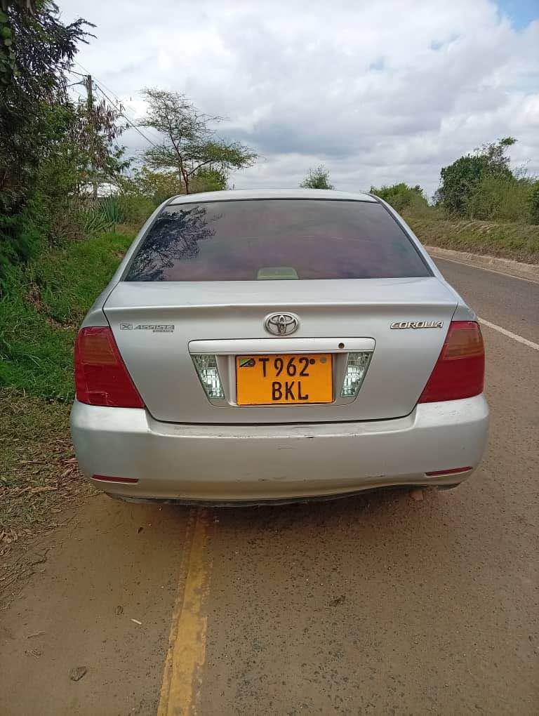 A picture of corolla