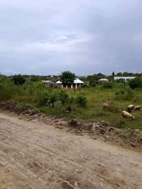 A picture of ENEO LINAUZWA MABWEPANDE SQM 800 BEI MILION 10