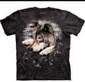 t shirts
