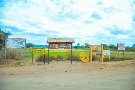 Donny D.