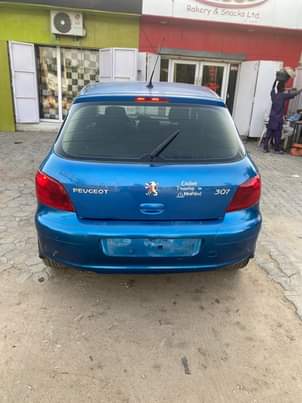A picture of peugeot 307