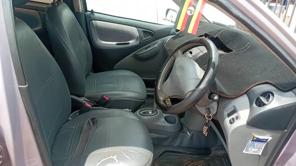 A picture of Vitz