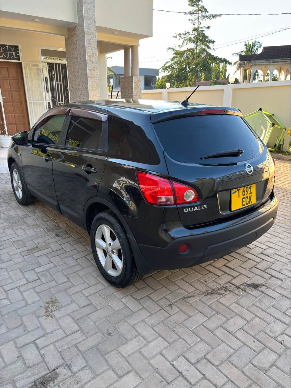 A picture of Nissan dualis