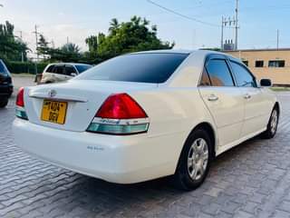 A picture of MARK11. GRANDE WANJA
