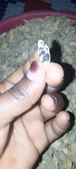 A picture of Hiliki jumla na rejareja