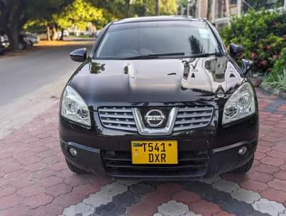 A picture of NISSAN DUALIS