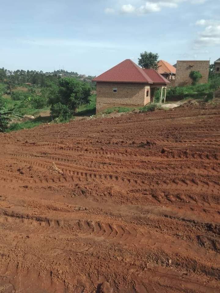 A picture of MAZIMA BISOBOKA NEW SITE IS OPENED ATMatugga migade 1km off