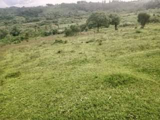 A picture of Land