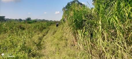 A picture of 100arces for sale kiwoko 6m per arce