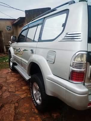 used toyota prado