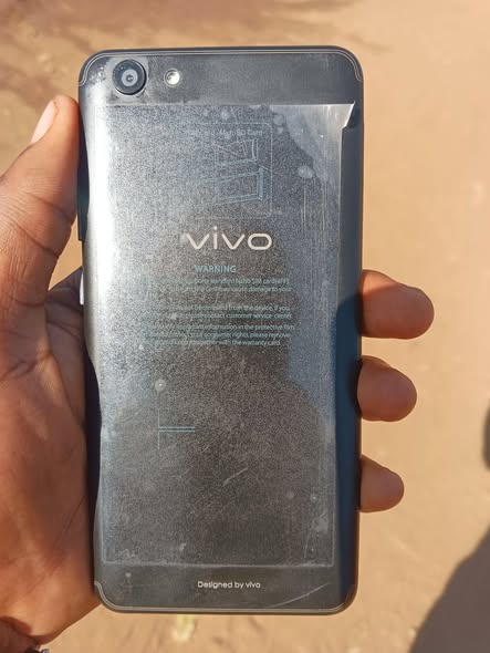 vivo
