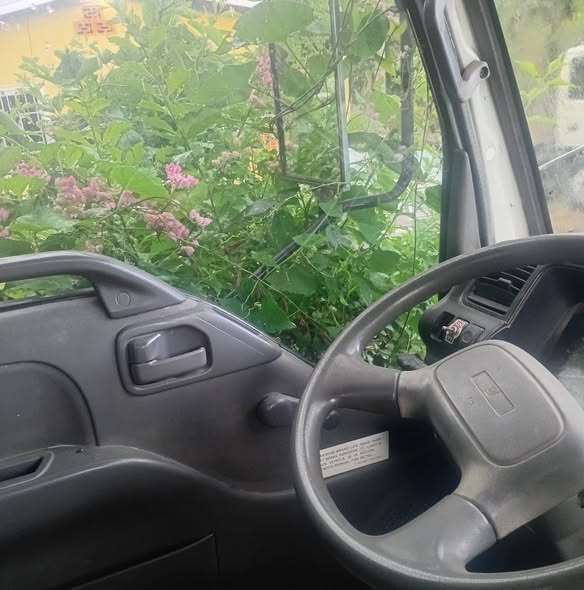 isuzu