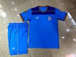 A picture of Uganda cranes jersey