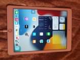 A picture of iPad Air 2