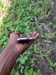 A picture of SAMSUNG GALAXY S9