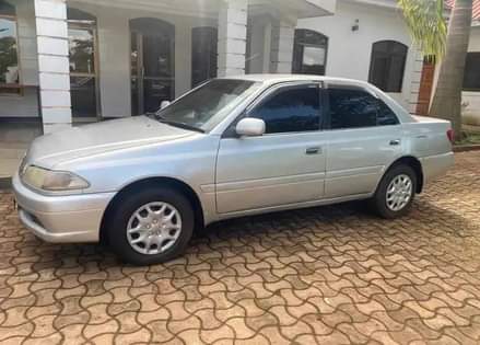 A picture of CARINA 0620356906
