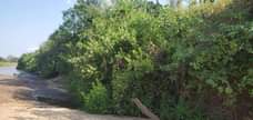 A picture of Shamba la Umwagiliaji linauzwa lipo Mtoni zipo eka 30
