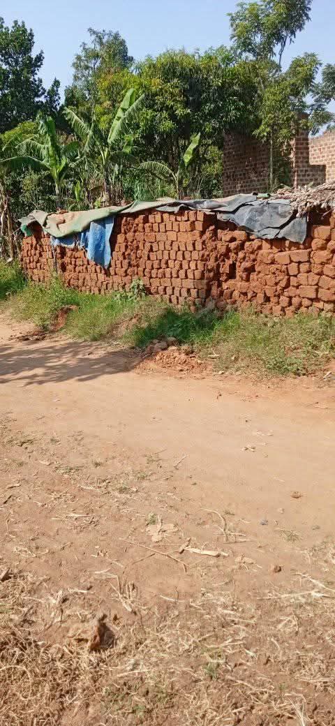 A picture of Land
