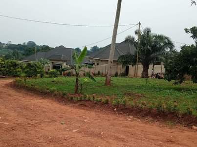 A picture of Very good plot for rentals and residential is up for