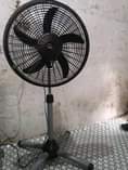 A picture of Feni Dekla