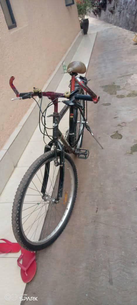 bikes