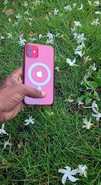 A picture of Iphone 11 Plain