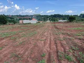 A picture of Plots at 28m Kiwenda