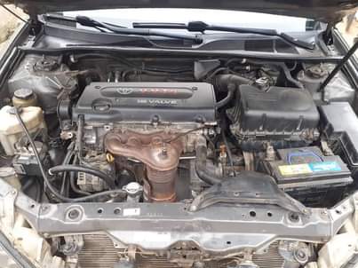 A picture of Stunt Auto