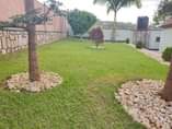 A picture of Fully furnished furnished house for rent at rebero 1000 