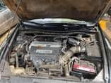 A picture of Honda Accord 2008