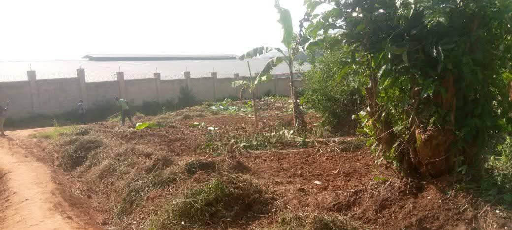 A picture of Plot in kikandwa near the plywood factory