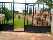 A picture of Gayaza kijabijo quick sale