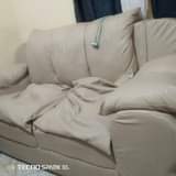 A picture of Single Double seaters sofa Fiber made
