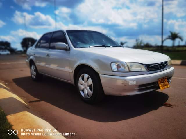 used toyota corolla