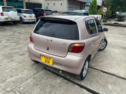 A picture of Vitz