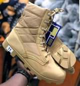 A picture of Desert boots 