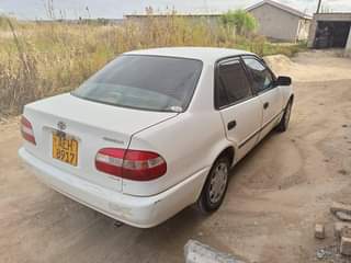 used toyota corolla