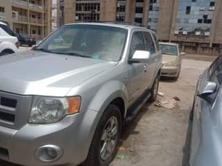 A picture of 2010 Ford Escape