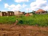 A picture of MATUGGA KIWEEBWA MANZE SITE 256705309448 Plot size 100by100ft 13m Plot