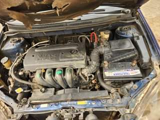 A picture of Toyota Corolla 2007